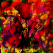 Good_morning_spring_card