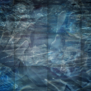 Diver_2011_card