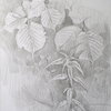 2007-foliage-of-the-hazel4