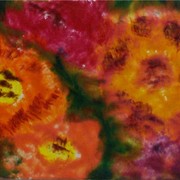 Hpim0246_card