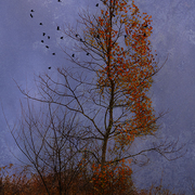 Heading_south_card