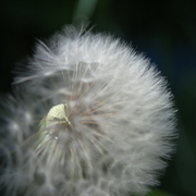 Dsc_0028_card