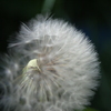 Dsc_0028_thumb