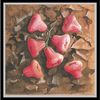 Jambu_thumb