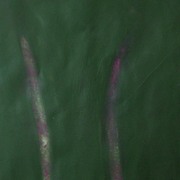Img_5619_card