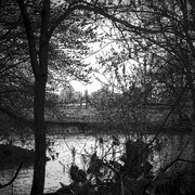 View_from_the_woods_card