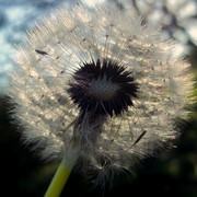 101_5875_card