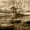 Japanese-prayer-room1-infrared-sepia-small_640__thumb