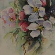 Img_0921__2__card