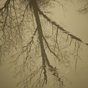 Reflections_on_the_water_in_sepia_card