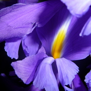 P1030181_card