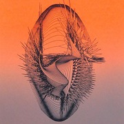 Reflex_33x23_card