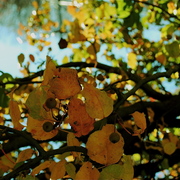 Dsc_0468_card