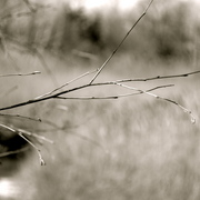 Dsc_0628_card