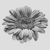 _flower_thumb