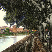 Verona_day_127a_card