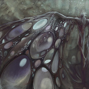 Vyjujvthoj888jpgf_card