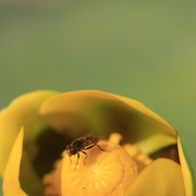 _mg_9775_card
