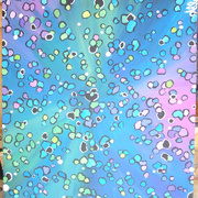 020-2_card