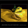 1024267-1-absorbed-yellow-tomatoes_thumb