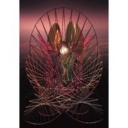 07_diadem_2_38x26_1996_30v_card