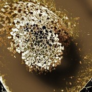 Pixxx_058_card