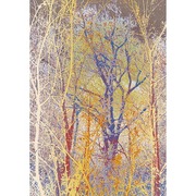 04_lesny_zjav_3_card