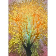 08_lesny_duch_1_card