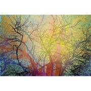 11_zima_2_card