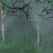Img_5641_card