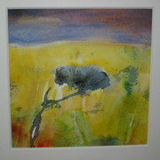 Img_0662_card