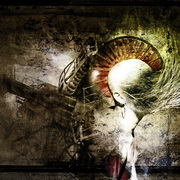 24_card