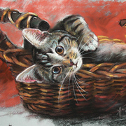 Cat_in_the_basket_card