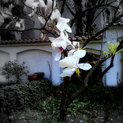 ______3715_card