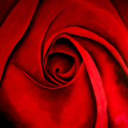 Dscn5052_card