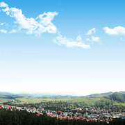 Moinesti_municipality_card