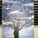February_09_030_square