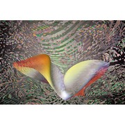 18_zazitok_25_5x38_card
