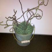 Img_20110504_074809_card