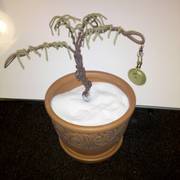 Img_20110504_074858_card
