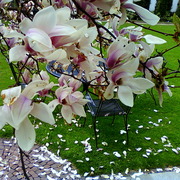 ______3709_card