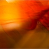 02_painting_light_in_motion_2_700_thumb