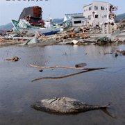No_1_card