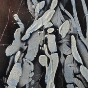 Img_0776_card
