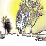 Viale_del_tramontot_card