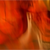 03_painting_light_in_motion_3_700_thumb