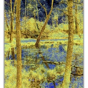 Untitled_card