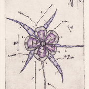 Bionic_3_card
