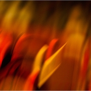 04_painting_light_in_motion_7_700_card