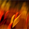 04_painting_light_in_motion_7_700_thumb